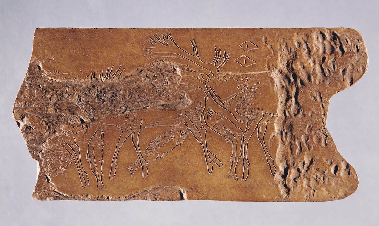 シカと跳ねるサケが彫られたトナカイの角、ロルテ洞窟出土